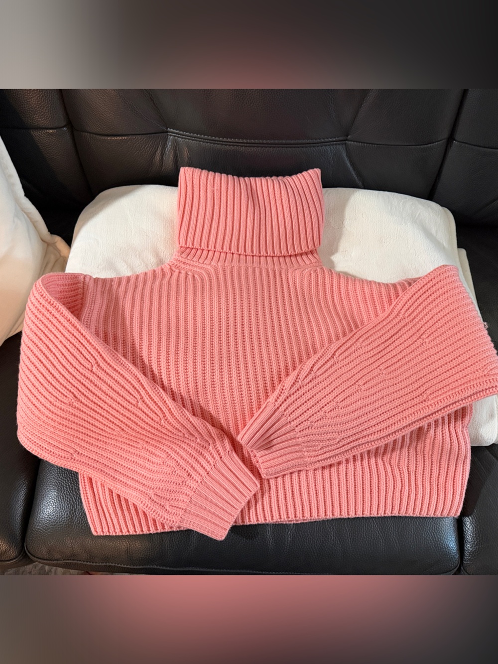 Aritzia Babaton Guell Turtleneck Sweater